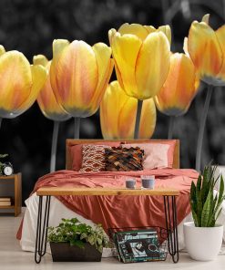 Żółte tulipany - tapeta