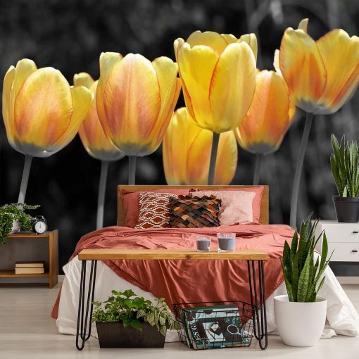 Żółte tulipany - tapeta