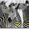 tapety z zebrami