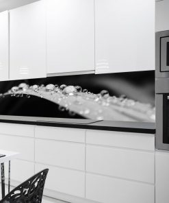 czarno-biała fototapeta kuchenna z liściem