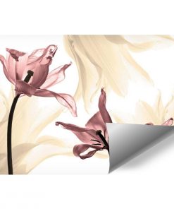 Fototapeta z tulipanami