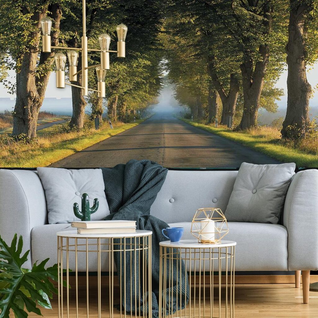 Tapeta z szosą pośród drzew