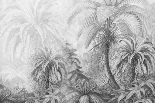 Czarno-biała fototapeta przedstawiająca roślinność do biura