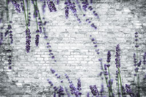 Fototapeta z lawendą